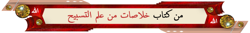 hani zr si elem-al-tasbeh